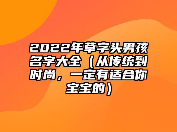 2022年草字头男孩名字大全（从传统到时尚，一定有适合你宝宝的）