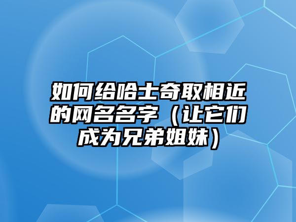 如何给哈士奇取相近的网名名字（让它们成为兄弟姐妹）