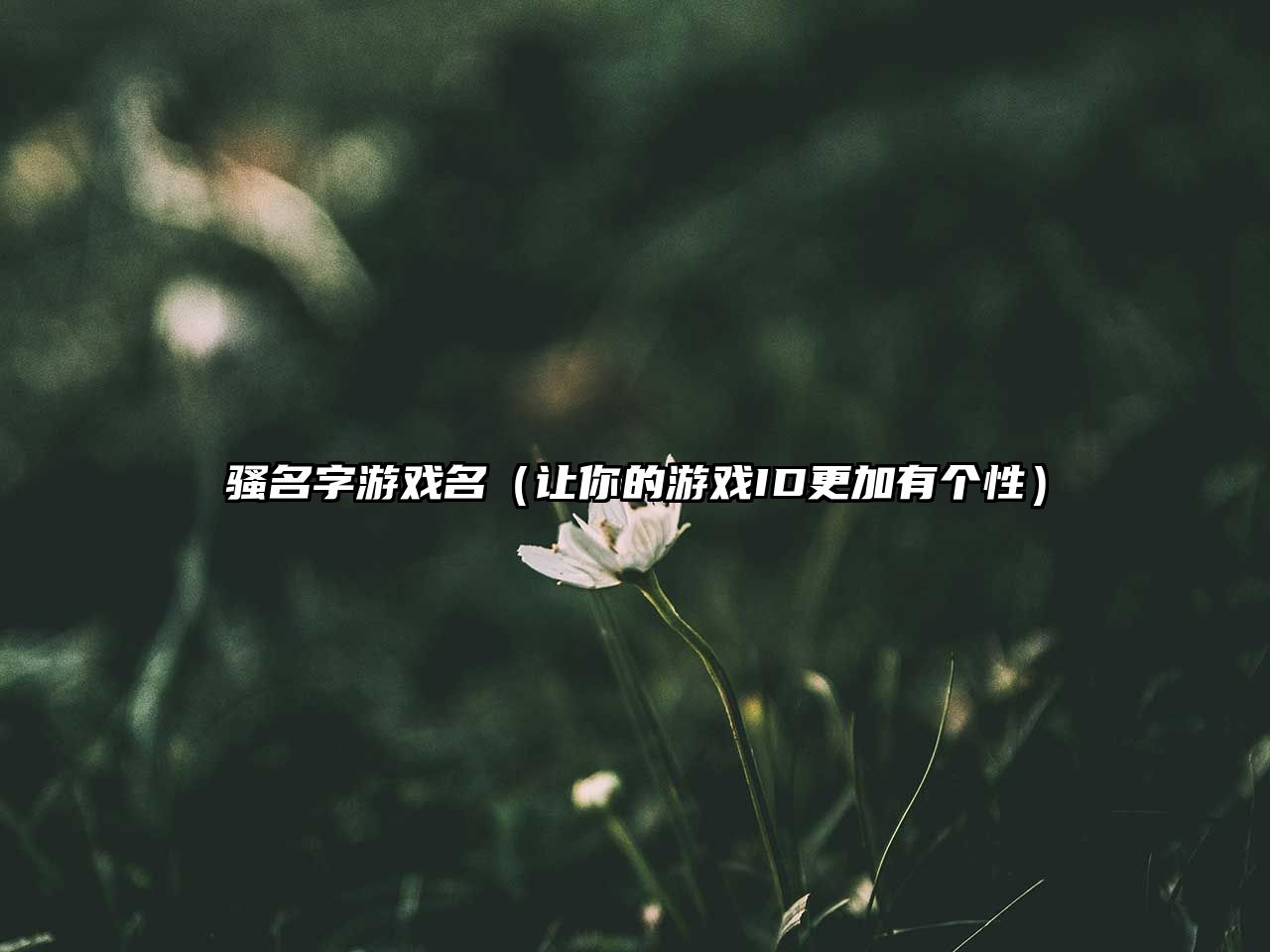 骚名字游戏名（让你的游戏ID更加有个性）