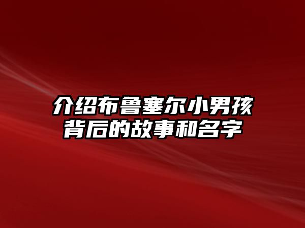 介绍布鲁塞尔小男孩背后的故事和名字