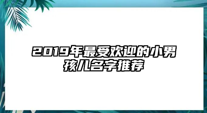 2019年最受欢迎的小男孩儿名字推荐