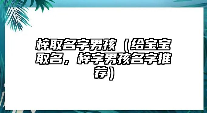 梓取名字男孩（给宝宝取名，梓字男孩名字推荐）