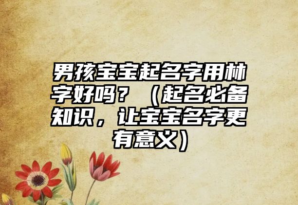 男孩宝宝起名字用林字好吗？（起名必备知识，让宝宝名字更有意义）