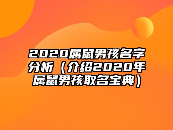 2020属鼠男孩名字分析（介绍2020年属鼠男孩取名宝典）