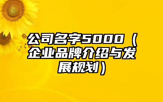 公司名字5000（企业品牌介绍与发展规划）