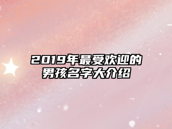 2019年最受欢迎的男孩名字大介绍