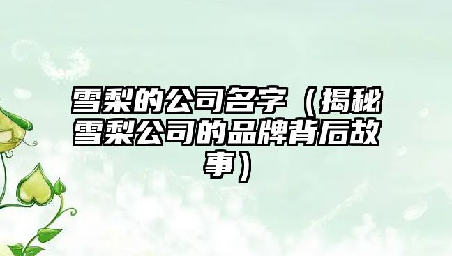 雪梨的公司名字（揭秘雪梨公司的品牌背后故事）