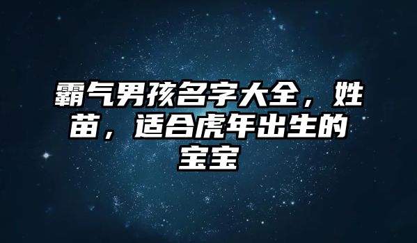 霸气男孩名字大全，姓苗，适合虎年出生的宝宝