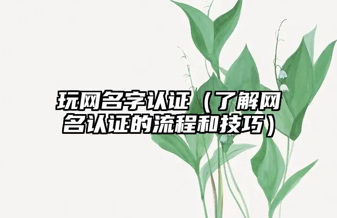 玩网名字认证（了解网名认证的流程和技巧）