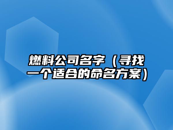 燃料公司名字（寻找一个适合的命名方案）