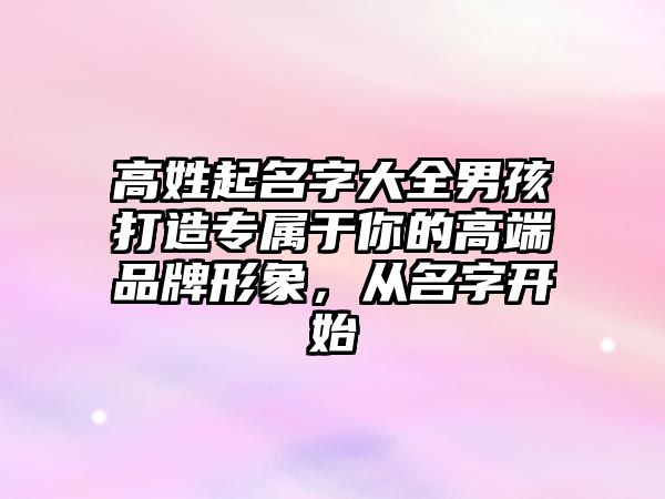 高姓起名字大全男孩打造专属于你的高端品牌形象，从名字开始