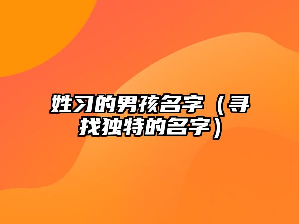 姓习的男孩名字（寻找独特的名字）