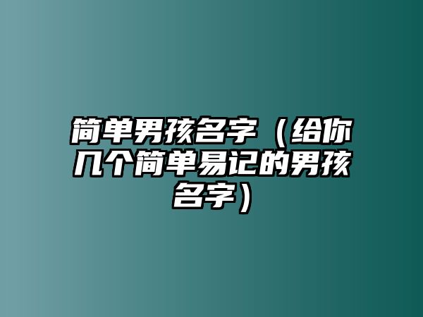 简单男孩名字（给你几个简单易记的男孩名字）