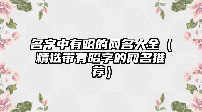 名字中有昭的网名大全（精选带有昭字的网名推荐）