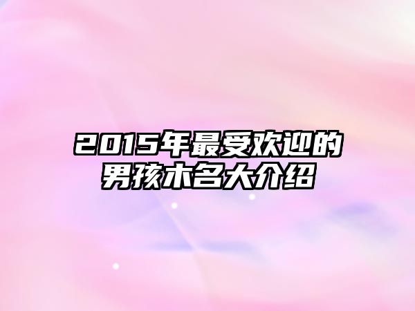 2015年最受欢迎的男孩木名大介绍