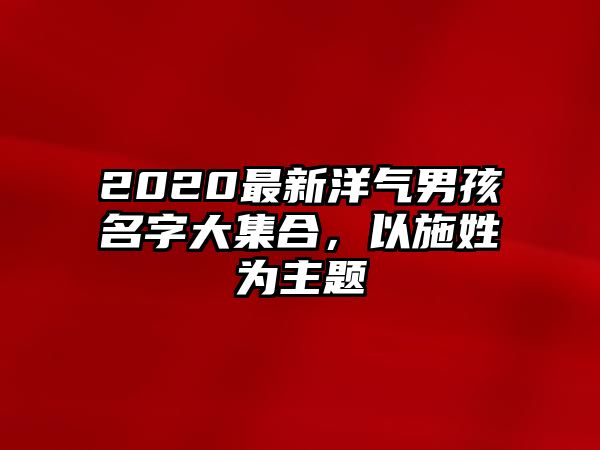 2020最新洋气男孩名字大集合，以施姓为主题