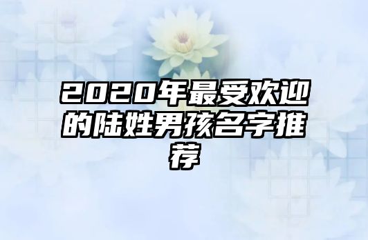 2020年最受欢迎的陆姓男孩名字推荐