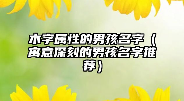 木字属性的男孩名字（寓意深刻的男孩名字推荐）