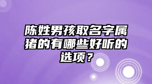 陈姓男孩取名字属猪的有哪些好听的选项？