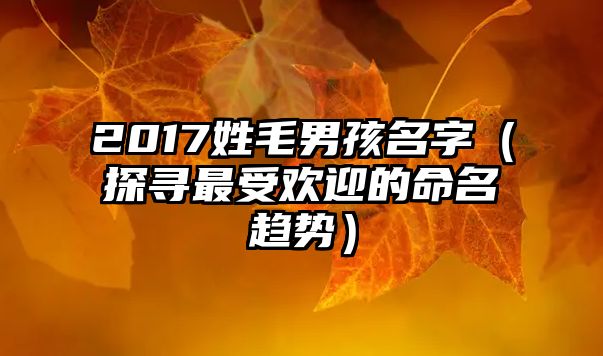 2017姓毛男孩名字（探寻最受欢迎的命名趋势）