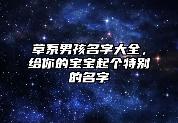 草系男孩名字大全，给你的宝宝起个特别的名字