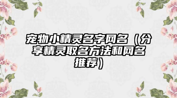 宠物小精灵名字网名（分享精灵取名方法和网名推荐）