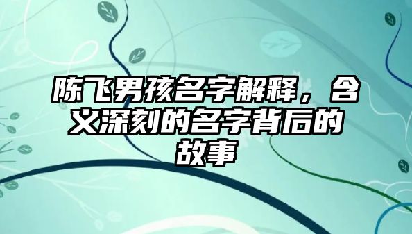 陈飞男孩名字解释，含义深刻的名字背后的故事