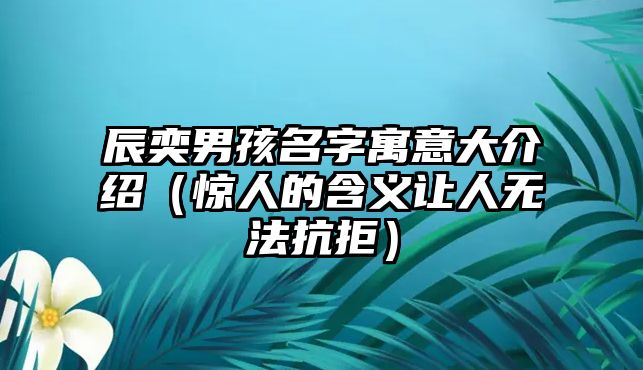 辰奕男孩名字寓意大介绍（惊人的含义让人无法抗拒）