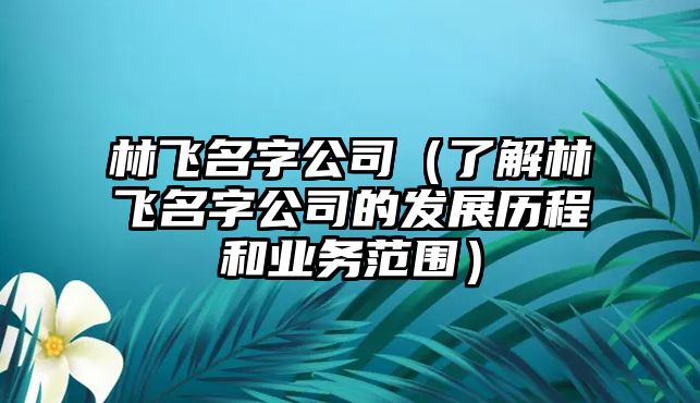 林飞名字公司（了解林飞名字公司的发展历程和业务范围）