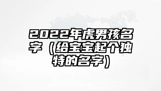 2022年虎男孩名字（给宝宝起个独特的名字）