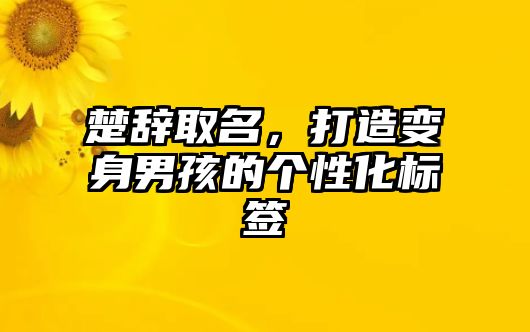 楚辞取名，打造变身男孩的个性化标签