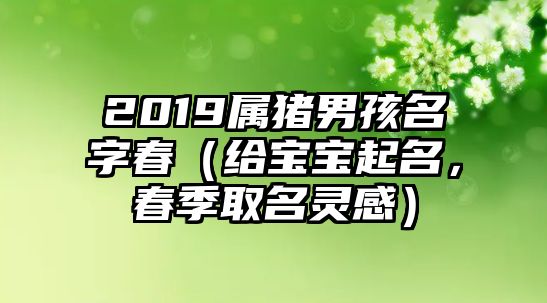 2019属猪男孩名字春（给宝宝起名，春季取名灵感）