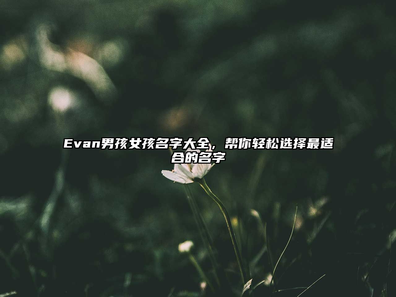 Evan男孩女孩名字大全，帮你轻松选择最适合的名字