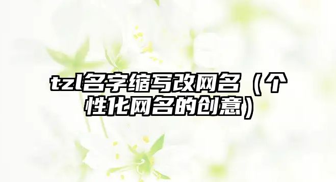 tzl名字缩写改网名（个性化网名的创意）