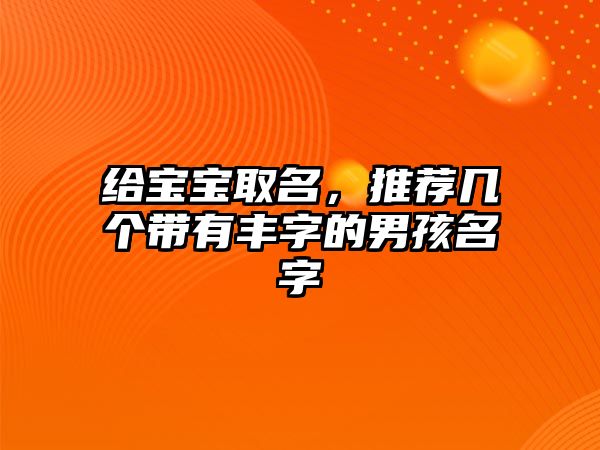 给宝宝取名，推荐几个带有丰字的男孩名字