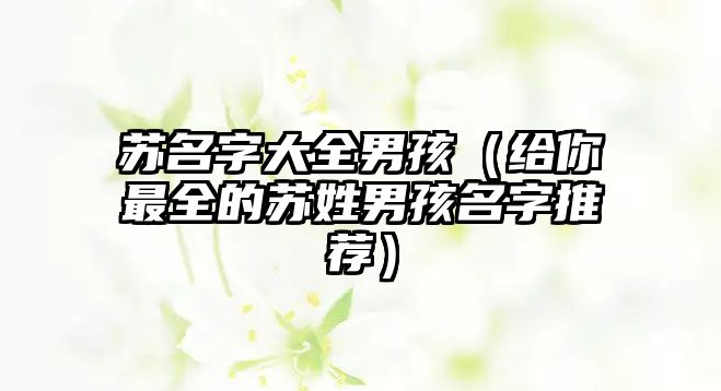 苏名字大全男孩（给你最全的苏姓男孩名字推荐）