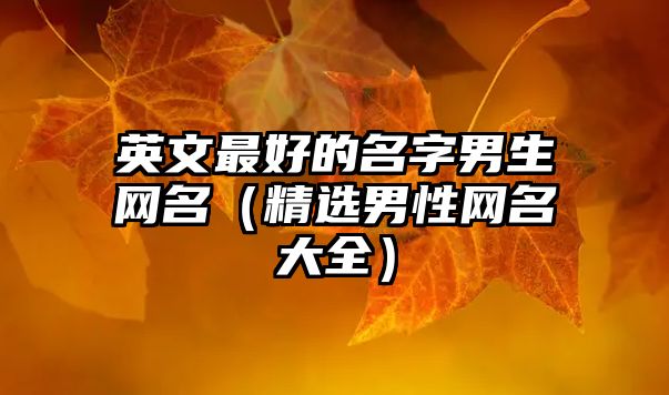 英文最好的名字男生网名（精选男性网名大全）