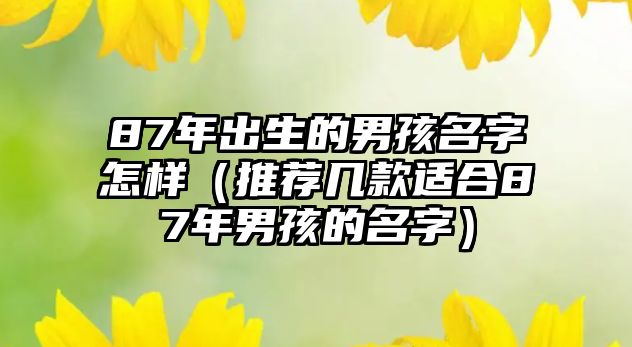 87年出生的男孩名字怎样（推荐几款适合87年男孩的名字）