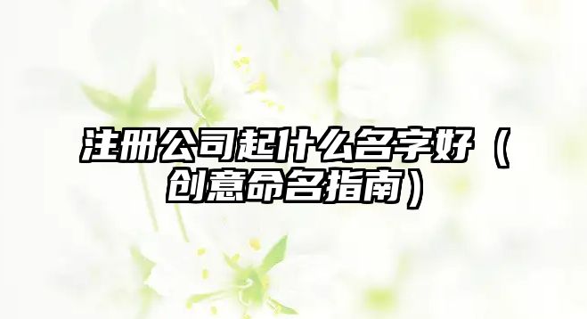 注册公司起什么名字好（创意命名指南）