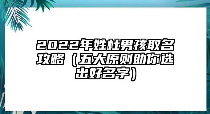 2022年姓杜男孩取名攻略（五大原则助你选出好名字）