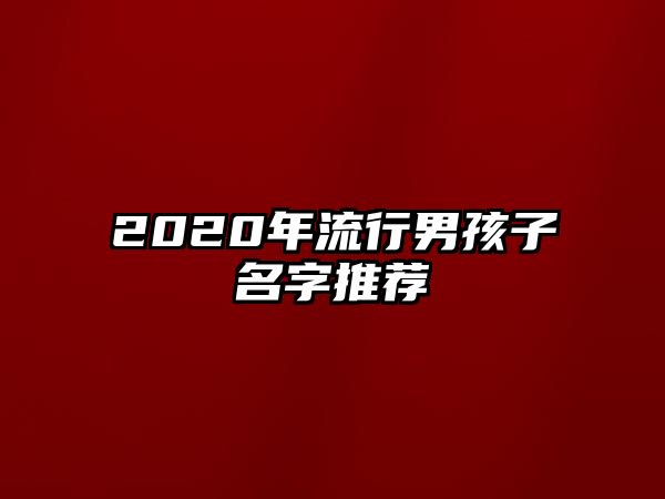 2020年流行男孩子名字推荐