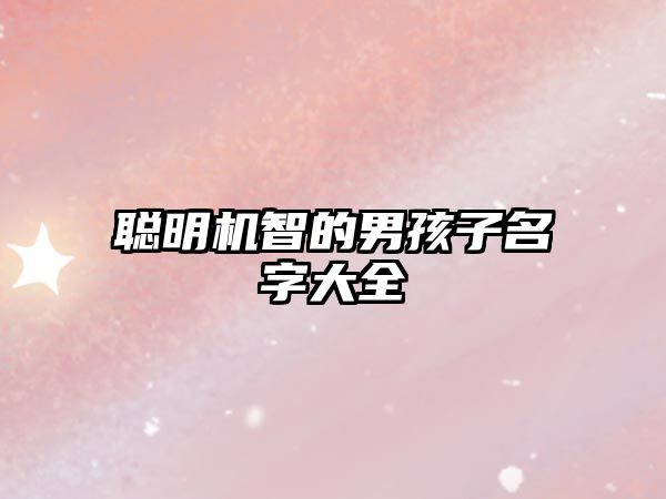 聪明机智的男孩子名字大全