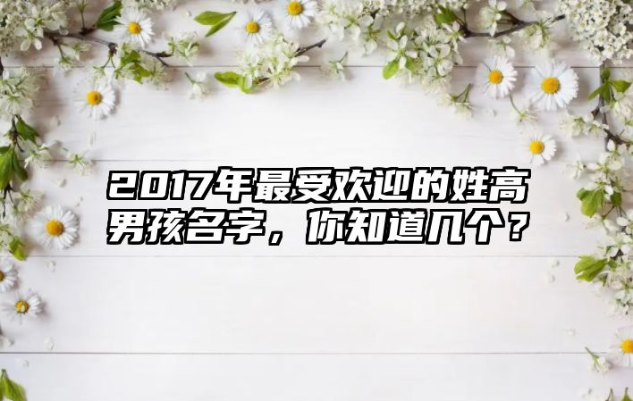 2017年最受欢迎的姓高男孩名字，你知道几个？