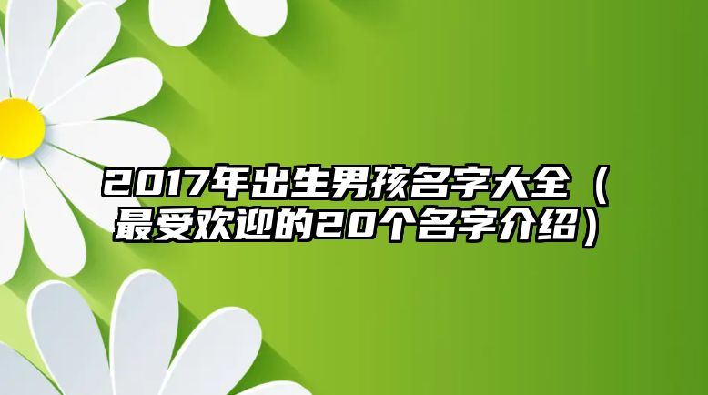 2017年出生男孩名字大全（最受欢迎的20个名字介绍）