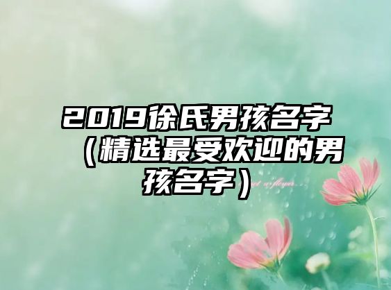 2019徐氏男孩名字（精选最受欢迎的男孩名字）