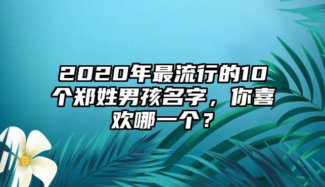 2020年最流行的10个郑姓男孩名字，你喜欢哪一个？