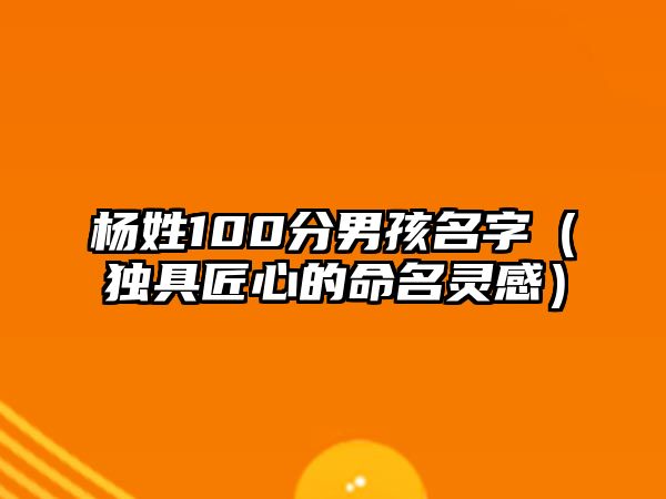 杨姓100分男孩名字（独具匠心的命名灵感）