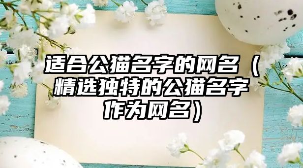 适合公猫名字的网名（精选独特的公猫名字作为网名）