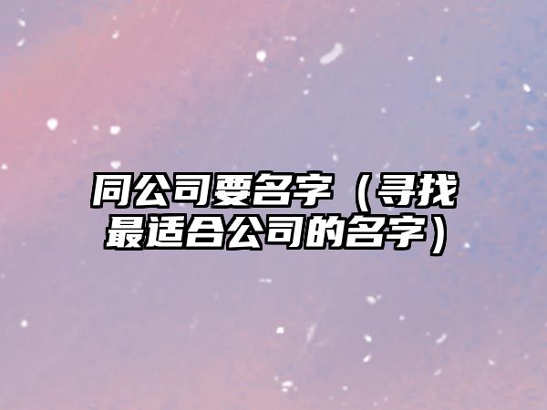 同公司要名字（寻找最适合公司的名字）