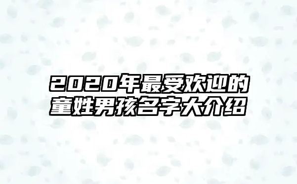 2020年最受欢迎的童姓男孩名字大介绍